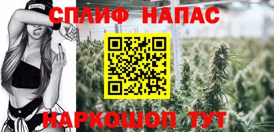стафф Донецк